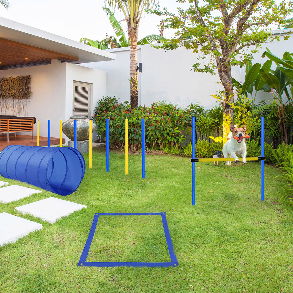Agility sport pour chiens équipement complet obstacle, tunnel, slalom, zone repos + sac de transport bleu jaune-1