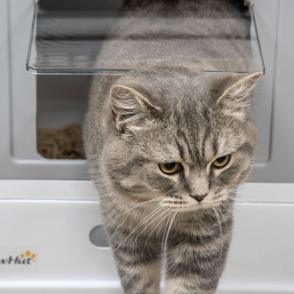 Lot de 2 maisons de toilette pour chat pliable double porte battante et supérieure pelle fourni 47,5 x 35,5 x 36,7 cm-7