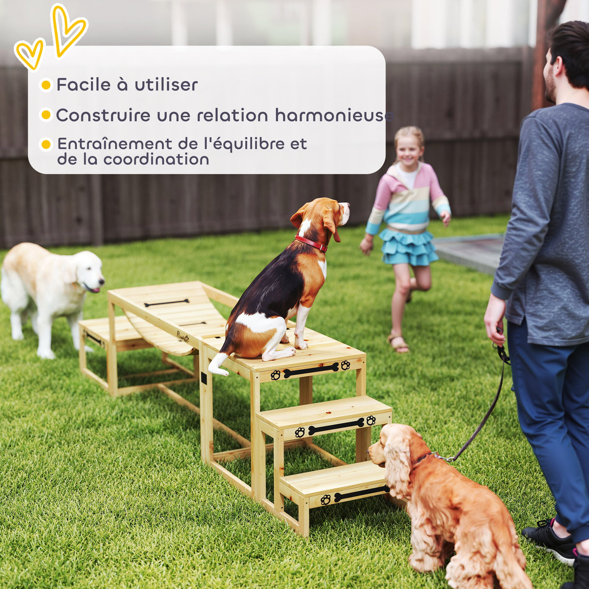 Équipements d'entraînement agilité pour chien kit d'équipement d'agilité pour chien 3 pièces en bois massif bois naturel-4