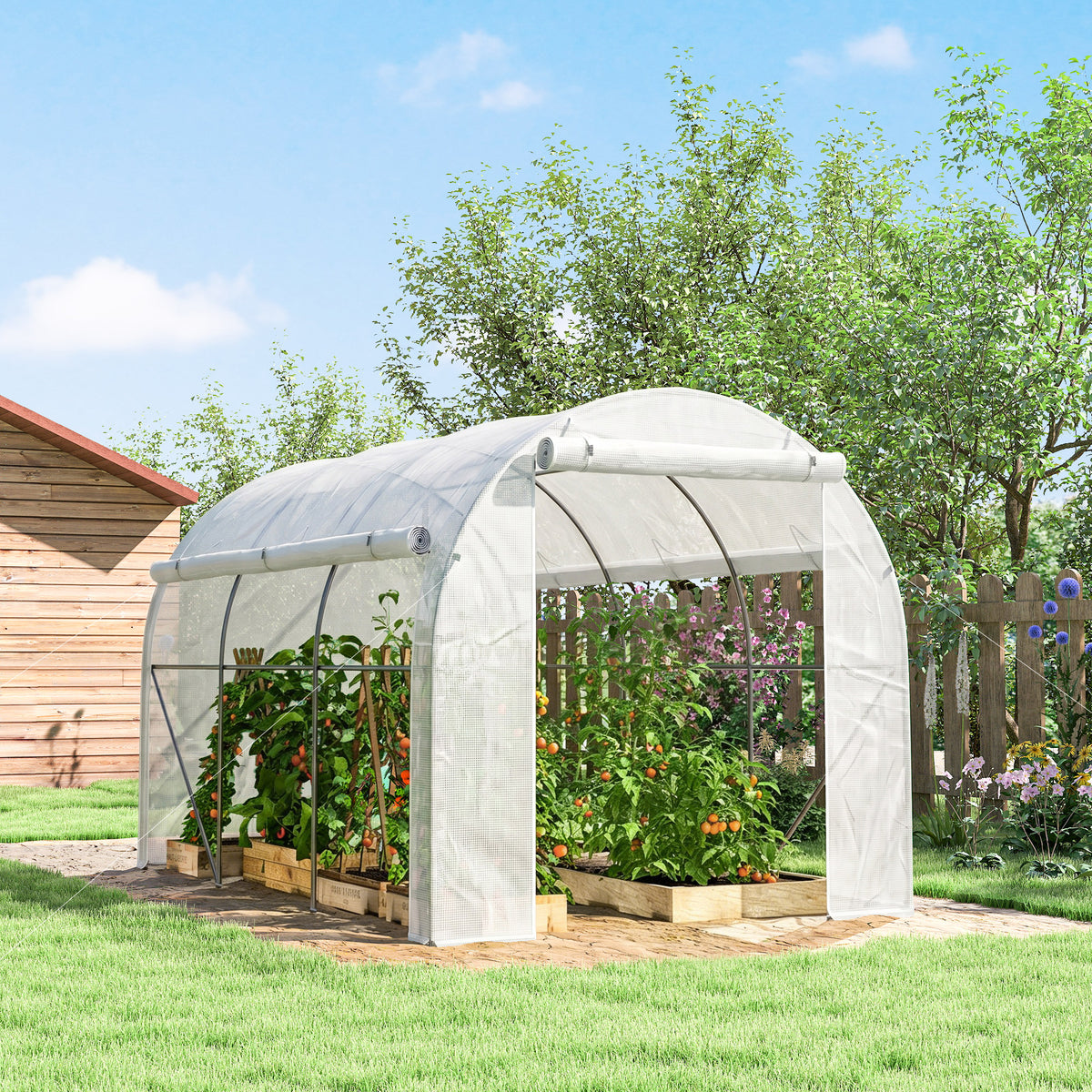 Serre de jardin 6 m² dim. 3 x 2 m avec 1 porte + 2 parois latérales zippées enroulables, 6 fenêtres, Blanc-8