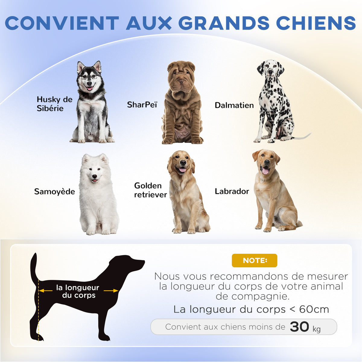 Canapé pour chien grand lit surélevé pour chien coussin lavable cadre en bois tissu polyester 98 x 67 x 25 cm vert clair-3