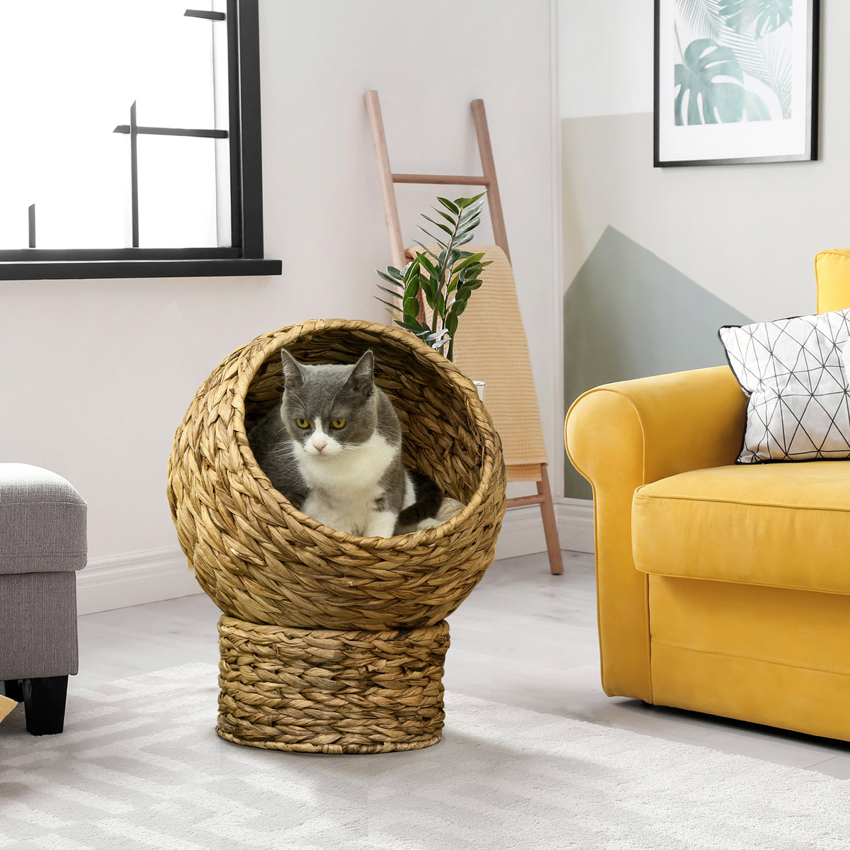 Panier chat lit surélevé chat cosy niche grotte à chat grand confort dim. 40L x 37l x 51H cm coussin moelleux beige inclus-9