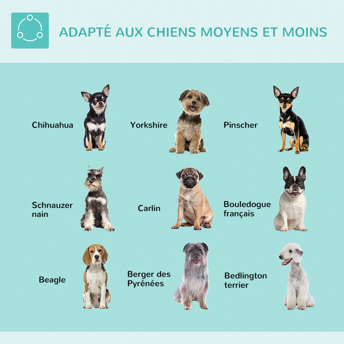 Bras de toilettage pliable pour animaux de compagnie en acier inoxydable avec collier de serrage pour chiens de grande et petite taille hauteur réglable max. 74 cm-7