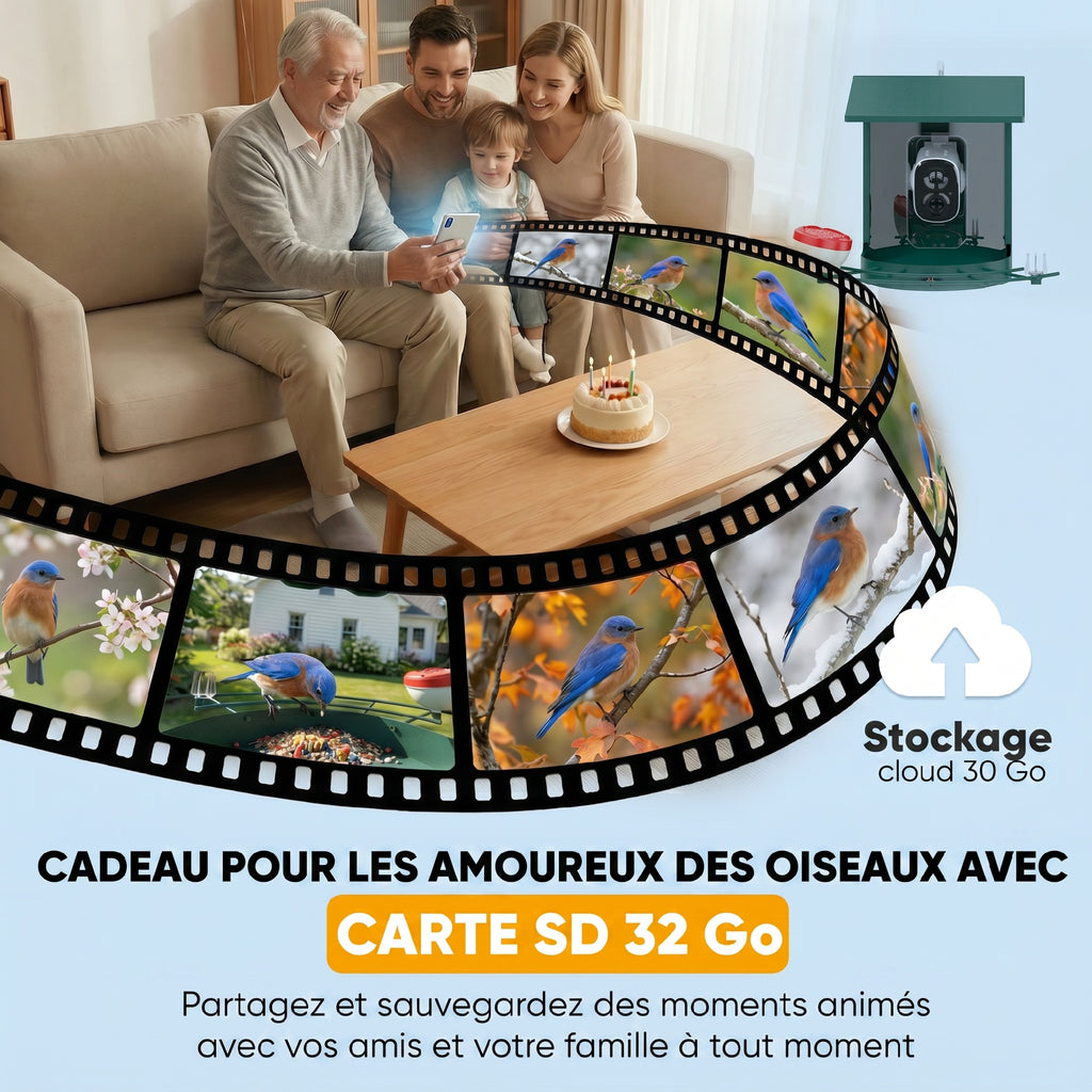 Mangeoire à Oiseaux avec Caméra 2K Solaire 2,5L 142°, Identification IA 16000+, App, IP65, SD 32 Go, 30x34,5x26,3cm Vert-5