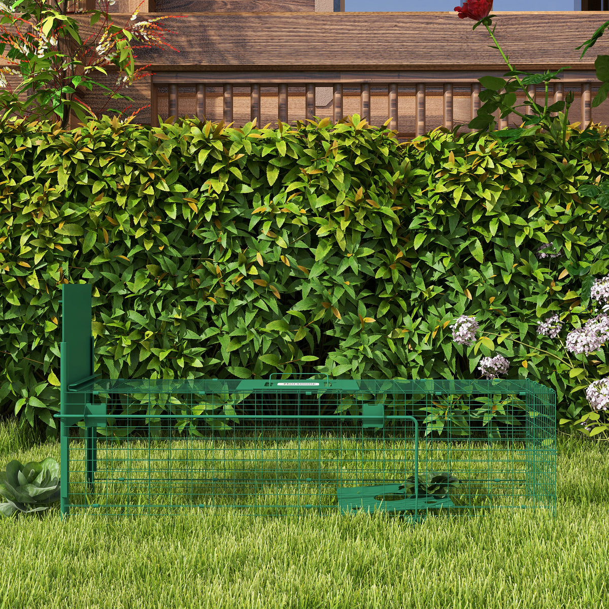 Cage attrape animaux nuisibles 1 entrée dim. 100L x 25l x 28H cm vert foncé-9