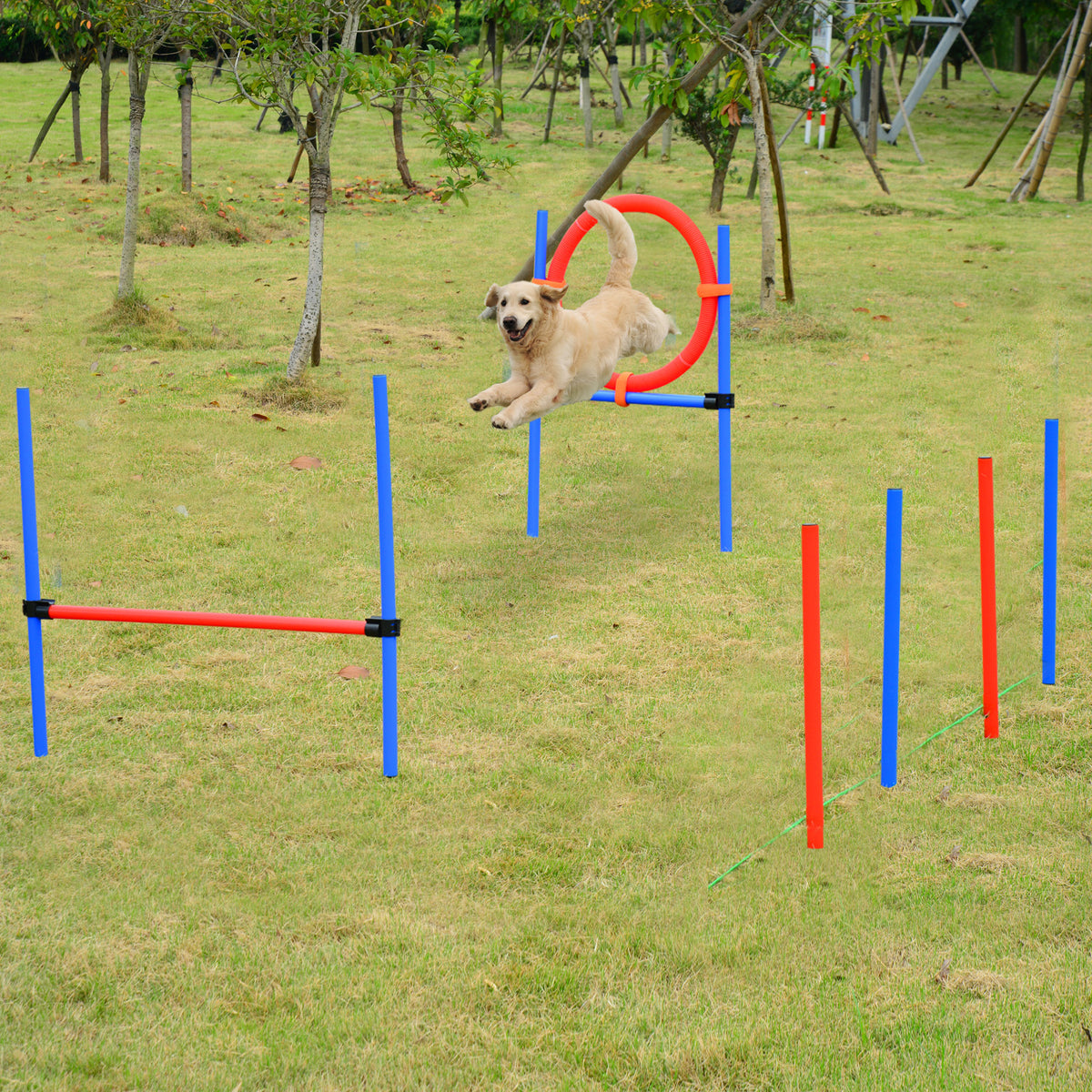 Agility sport pour chiens équipement complet obstacles et entrainement 11 pièces parcours agility chien avec sac de transport acier rouge et bleu-1