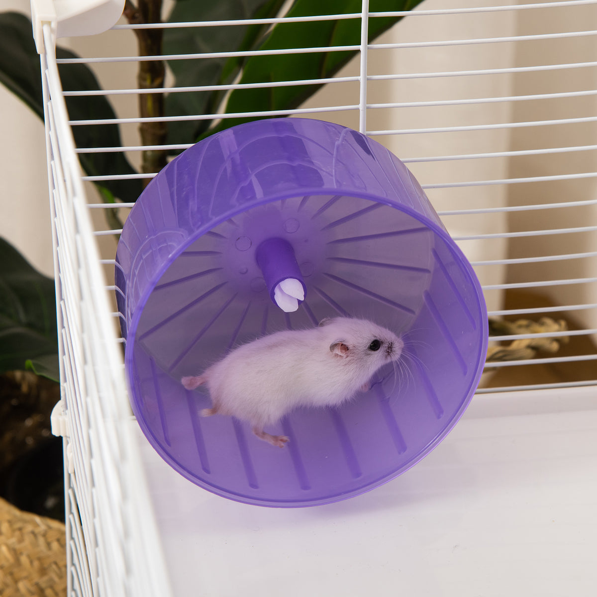 Cage à hamster rat rongeur 3 niveaux avec tunnel, biberon eau, roue, maisonnette, échelles dim. 59L x 36l x 47H cm-8
