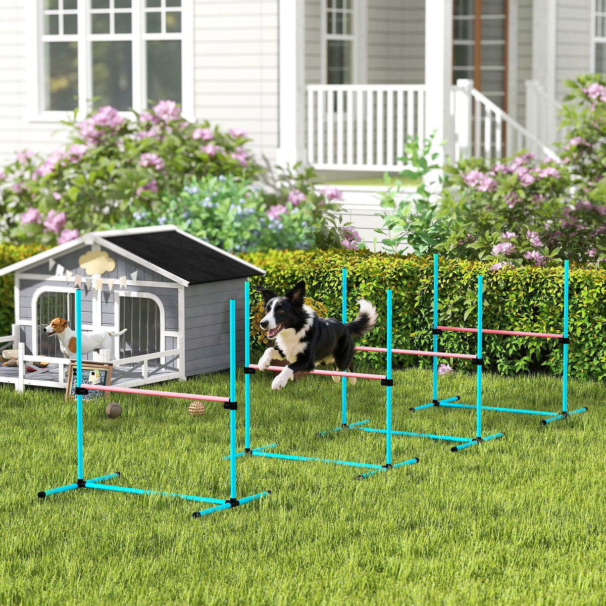 Agility Sport pour Chiens, Set de 4 Obstacles Professionnels avec Système de Maintien au Sol, 99x65x94cm, Bleu Clair-9