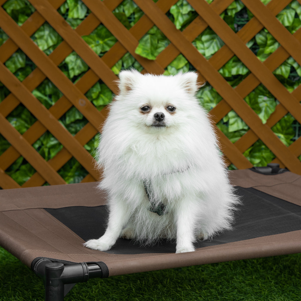 Lit pour chien chat lit de camp grand confort sur pieds tissu oxford textilène micro-perforé-7