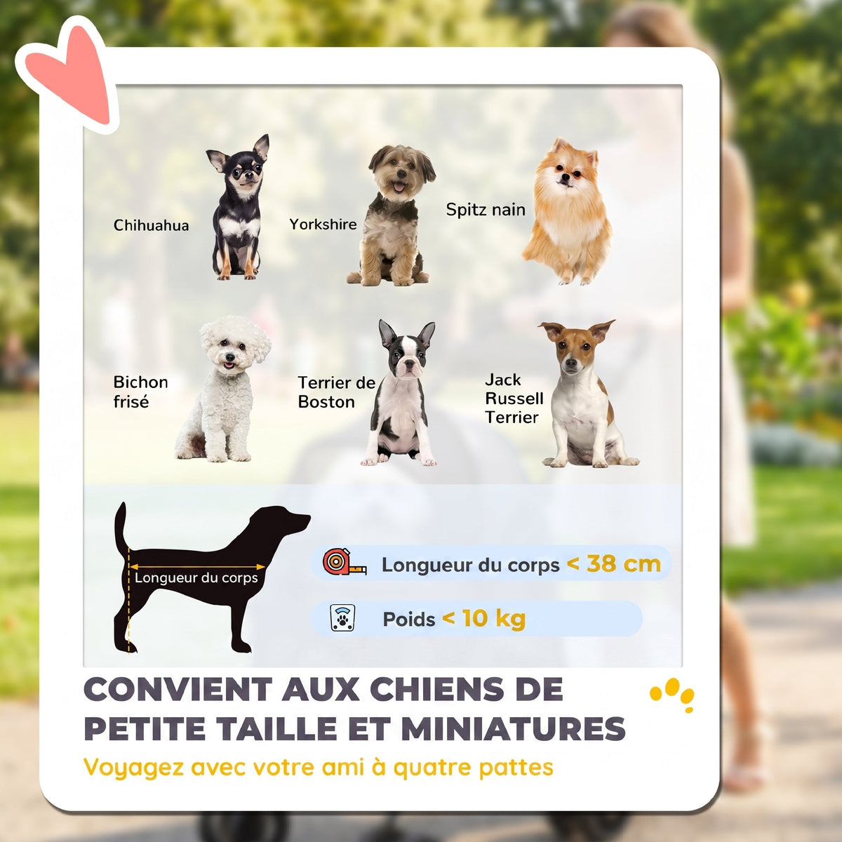 Poussette pour Chien Pliable, 4 Roues EVA, Fenêtres en Maille, Laisses de Sécurité, Coussin Amovible, 73x50x96cm, Gris-3