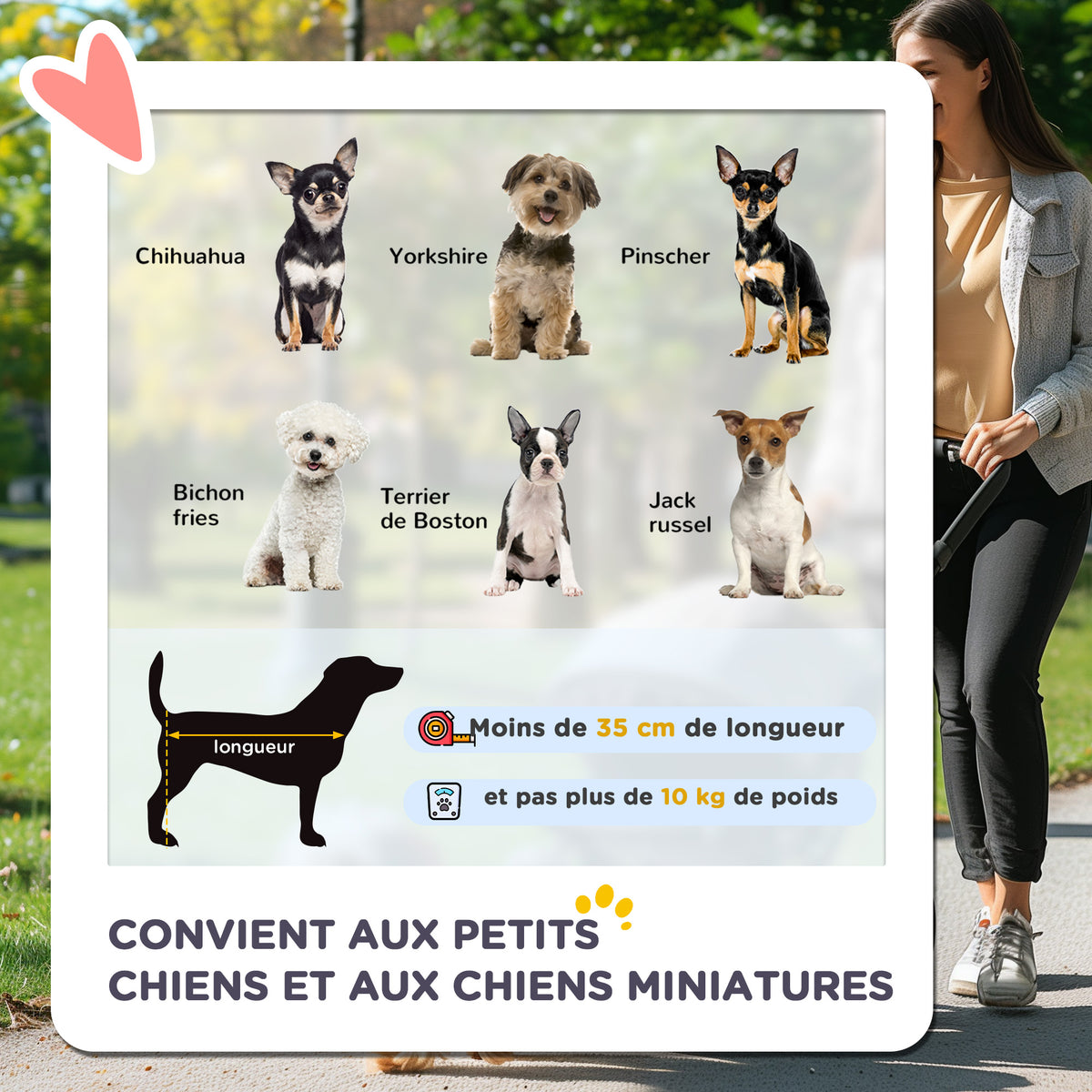 Poussette Buggy Pliable Animaux, Chariot Pliant Chien Chat, Porte-Gobelet Panier de Rangement Inclus, Roues avec Frein, Tissu 600D Oxford Acier, 75 x 45 x 97 cm Marron-3