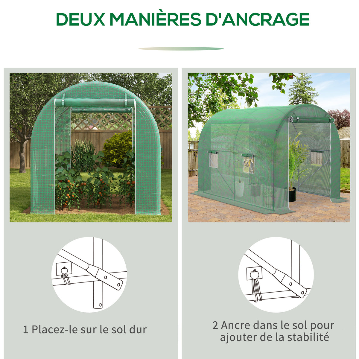 Serre de Jardin Tunnel Surface Sol 6 m² châssis Tubulaire renforcé Porte zippée 4 fenêtres enroulables Vert-5