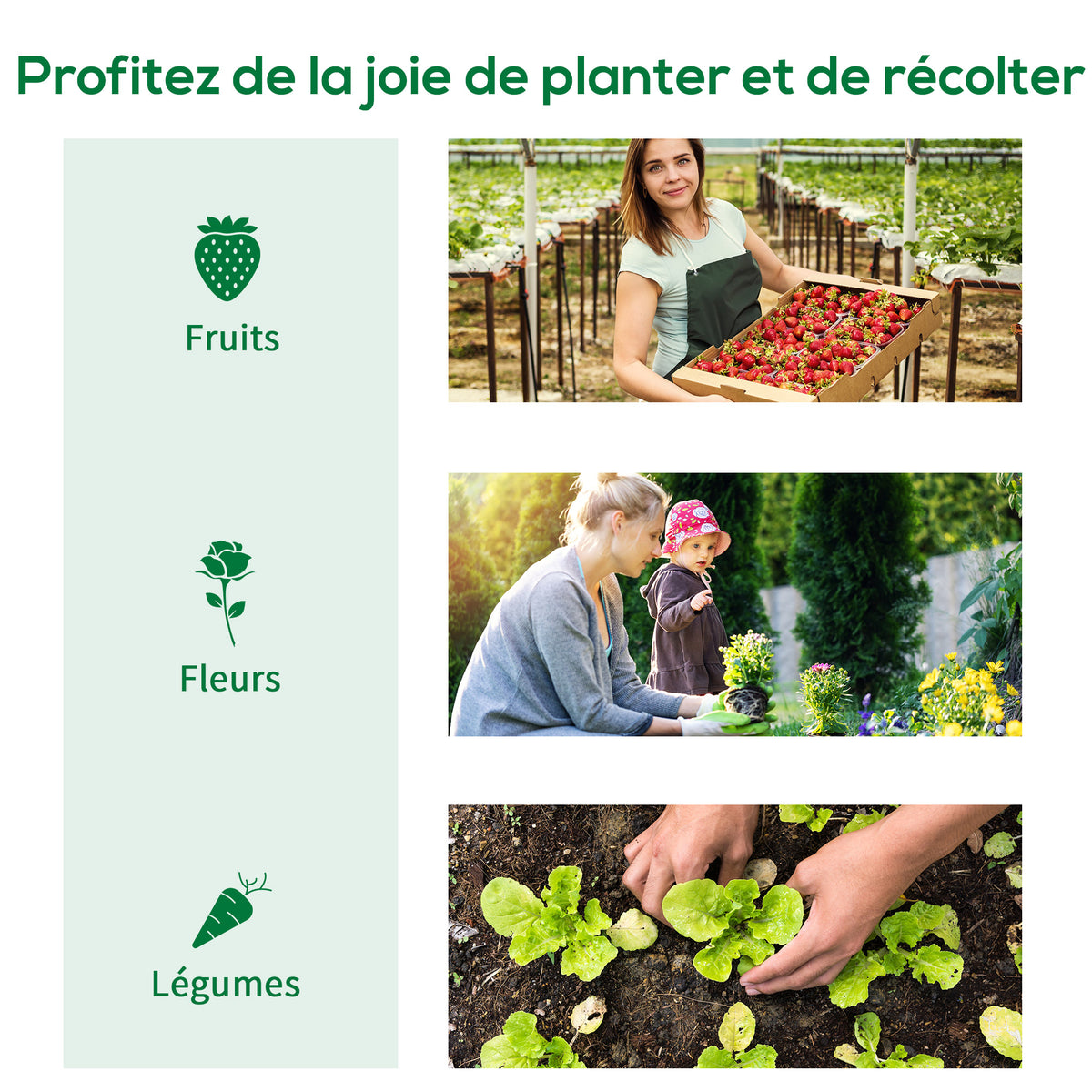 Serre de Jardin Tunnel Surface Sol 6 m² châssis Tubulaire renforcé Porte zippée 4 fenêtres enroulables Vert-6