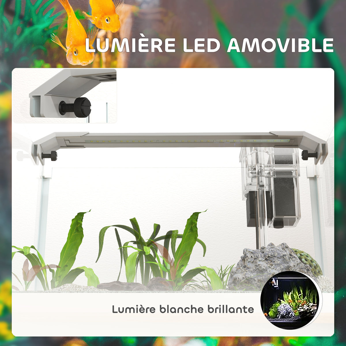 Aquarium en verre avec lumières LED aquarium de 20L pompe à filtre 38 x 26 x 27 cm blanc-4