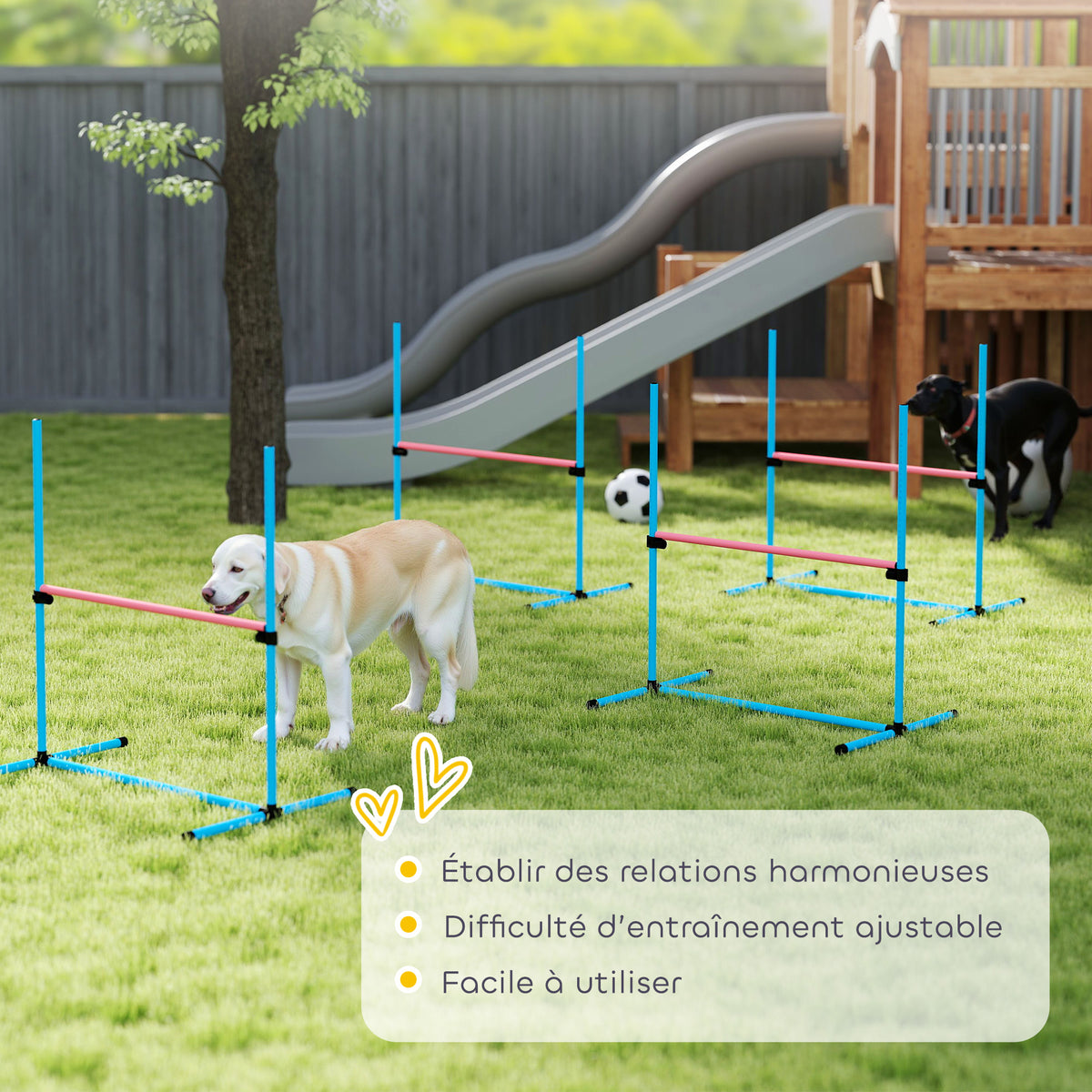 Agility Sport pour Chiens, Set de 4 Obstacles Professionnels avec Système de Maintien au Sol, 99x65x94cm, Bleu Clair-6