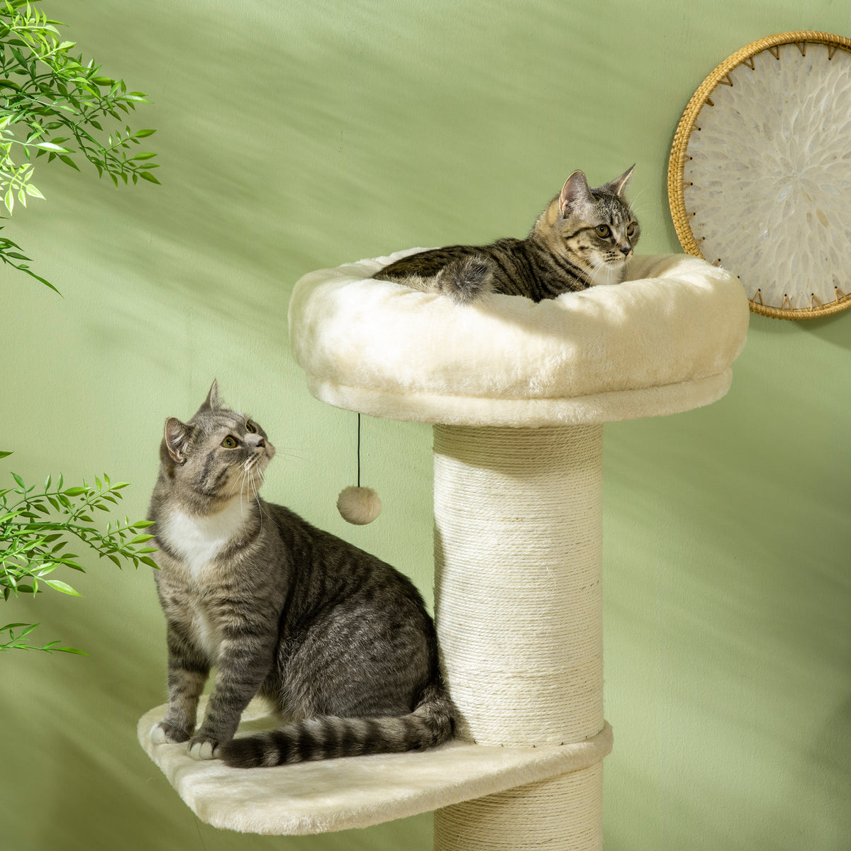 Arbre à chat griffoir sisal naturel 2 plateforme panier observation jeu boule suspendue peluche beige-6