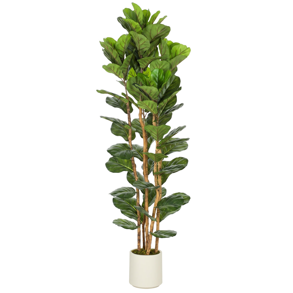 Plante artificielle intérieure 180 cm Figuier lyre arbre artificiel avec pot en plastique et tronc en bois massif, vert-0