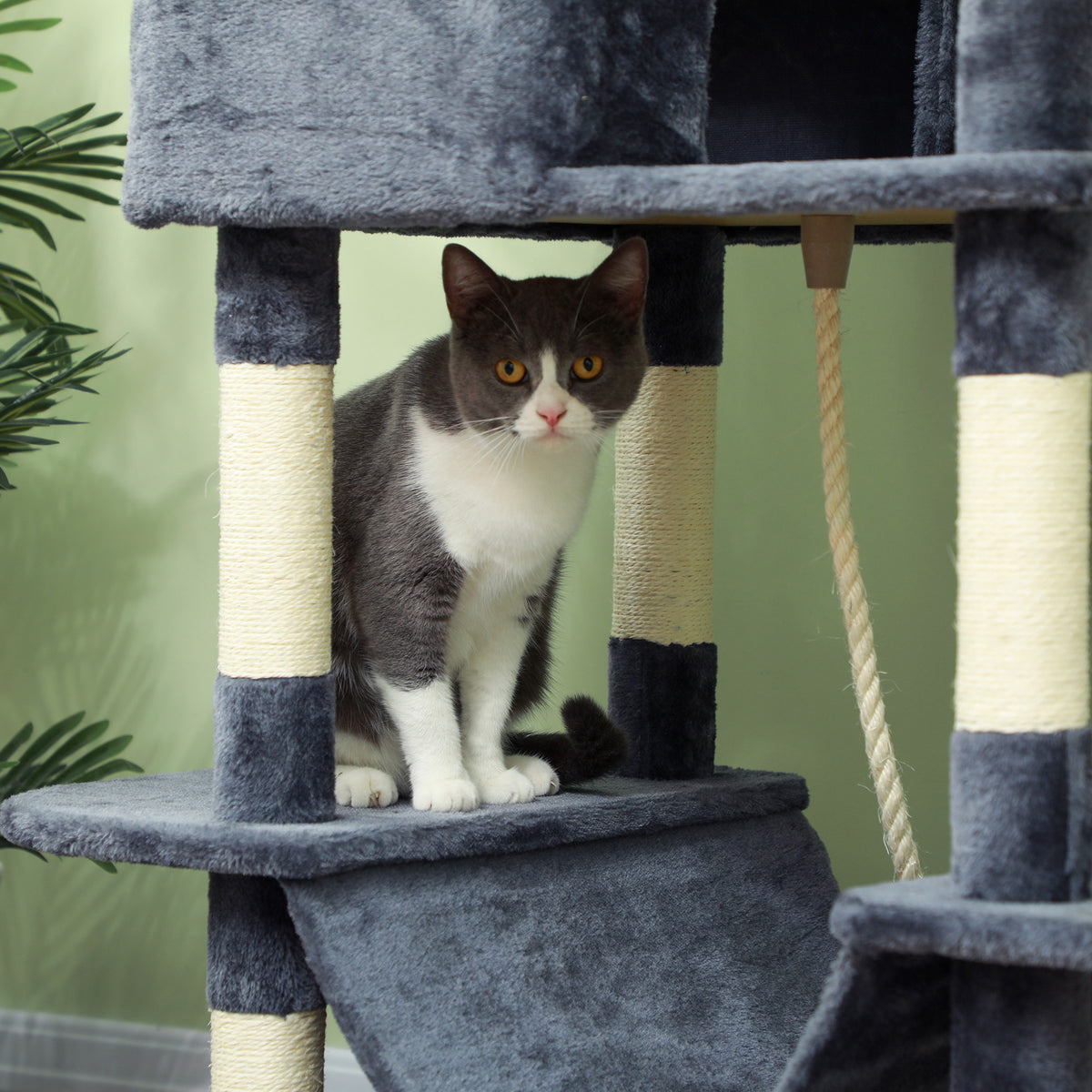 Arbre à chat 206 cm tour de jeux pour chat en peluche plusieurs niveaux idéal pour 1-3 chats 60 x 50 x 206 cm gris foncé-7