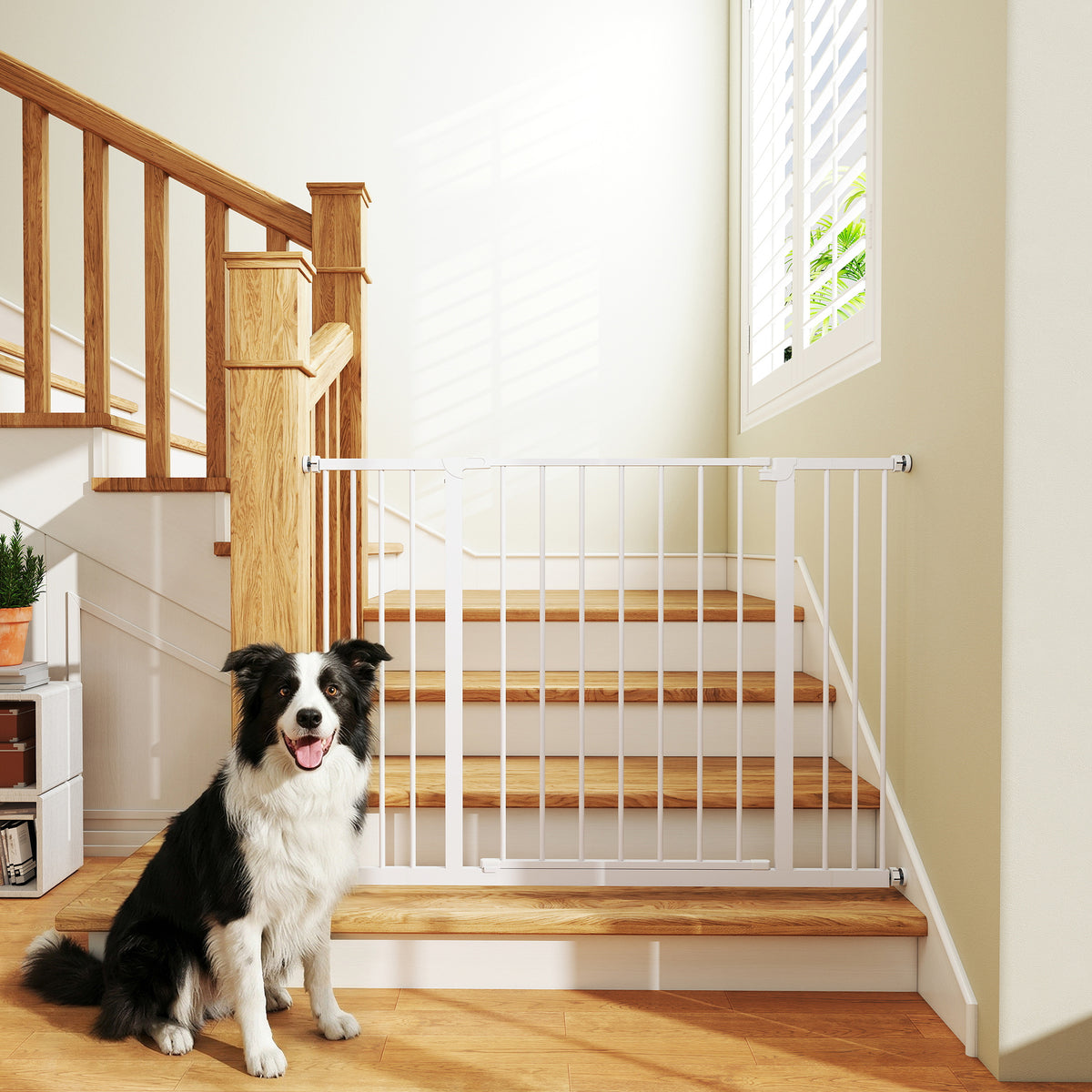 Barrière de Sécurité Chien Réglable 76-107 cm, avec 2 Rallonges (10/15 cm), Ouverture d'une Main, sans Perçage, Blanc-1