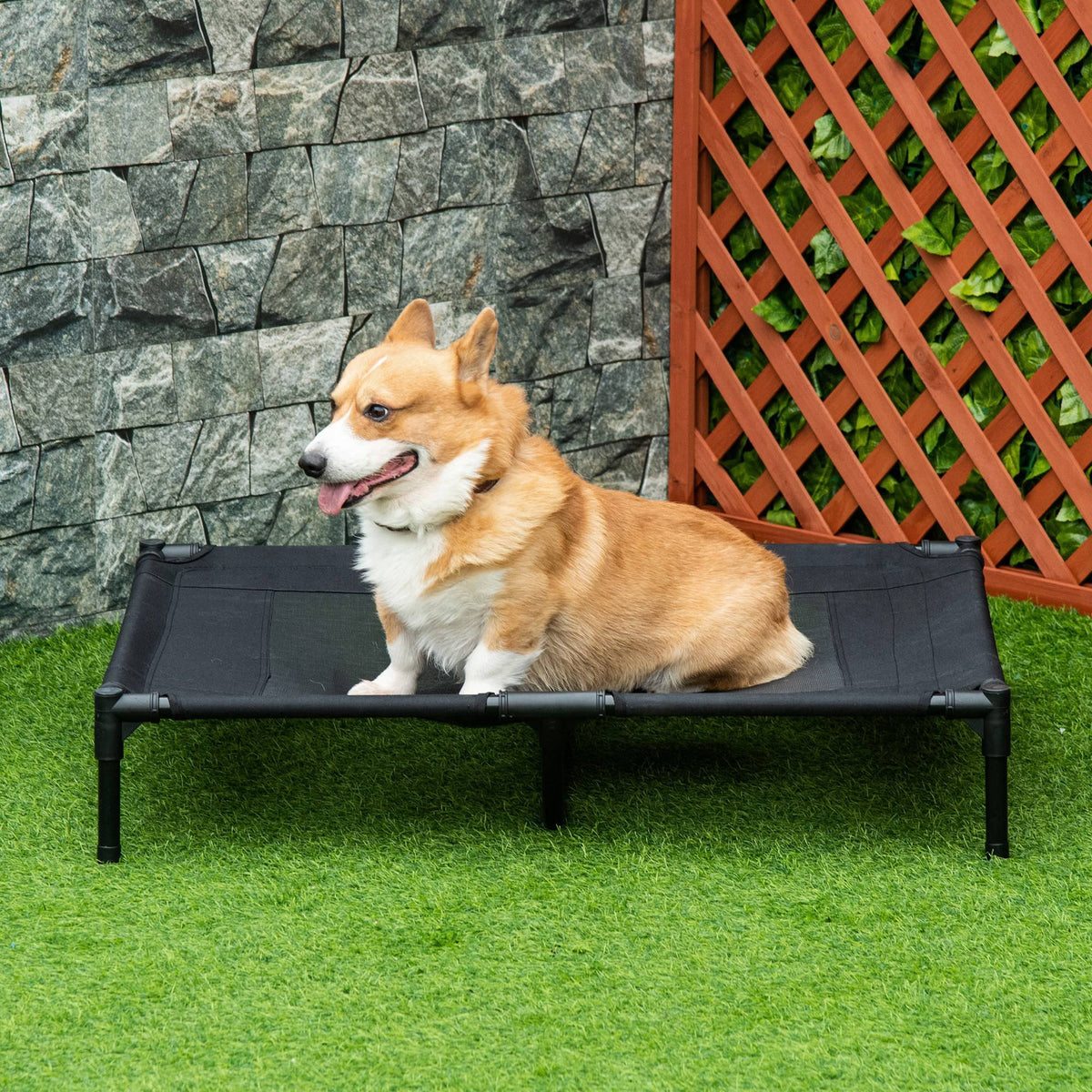 Lit sur pieds lit pour chien chat lit de camp lit surélevé animaux grand confort tissu Oxford textilène micro-perforé métal 92L x 76l x 18H cm noir-9