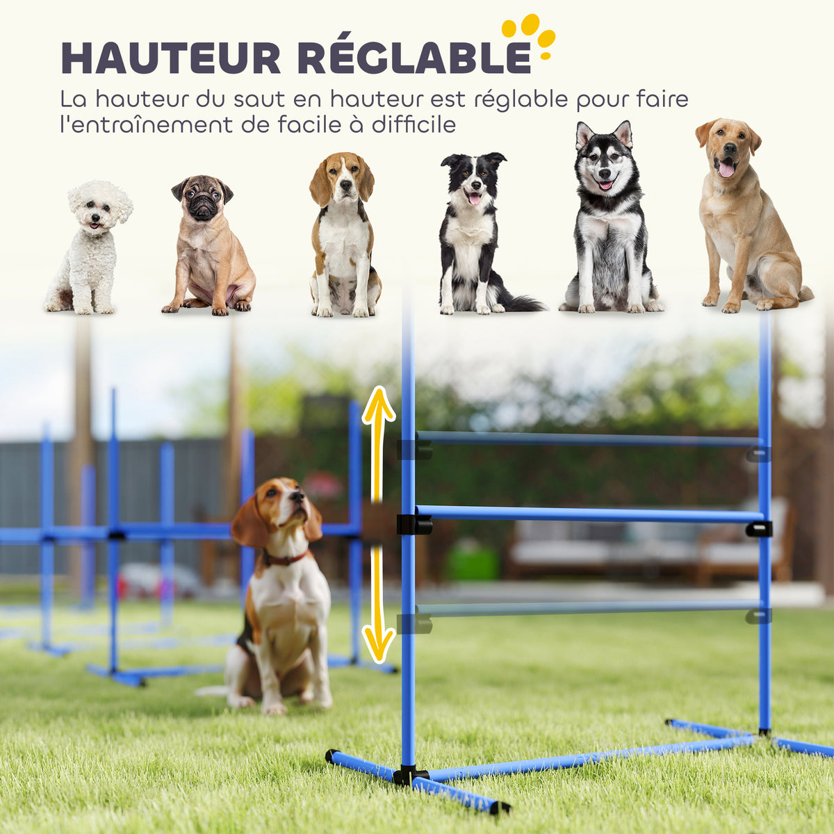 Agility sport pour chiens set de 4 obstacles professionnels avec système de maintien au sol sac transport fourni-3