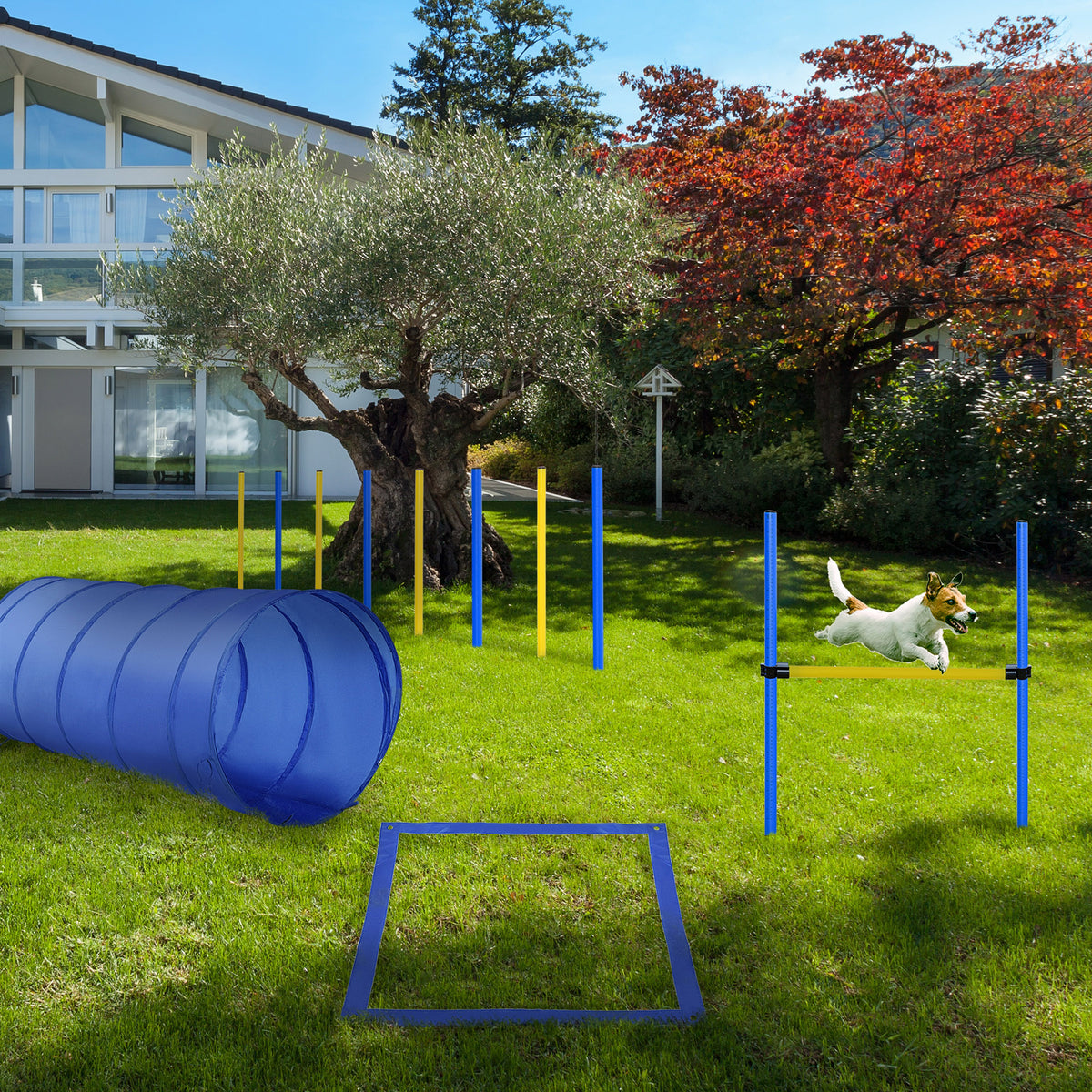 Agility sport pour chiens équipement complet obstacle, tunnel, slalom, zone repos + sac de transport bleu jaune-9