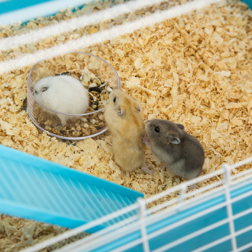 Grande cage pour hamsters cage pour rongeur 5 niveaux avec tunnels abreuvoir roue maisonnette échelles dim. 59L x 36l x 69H cm-7