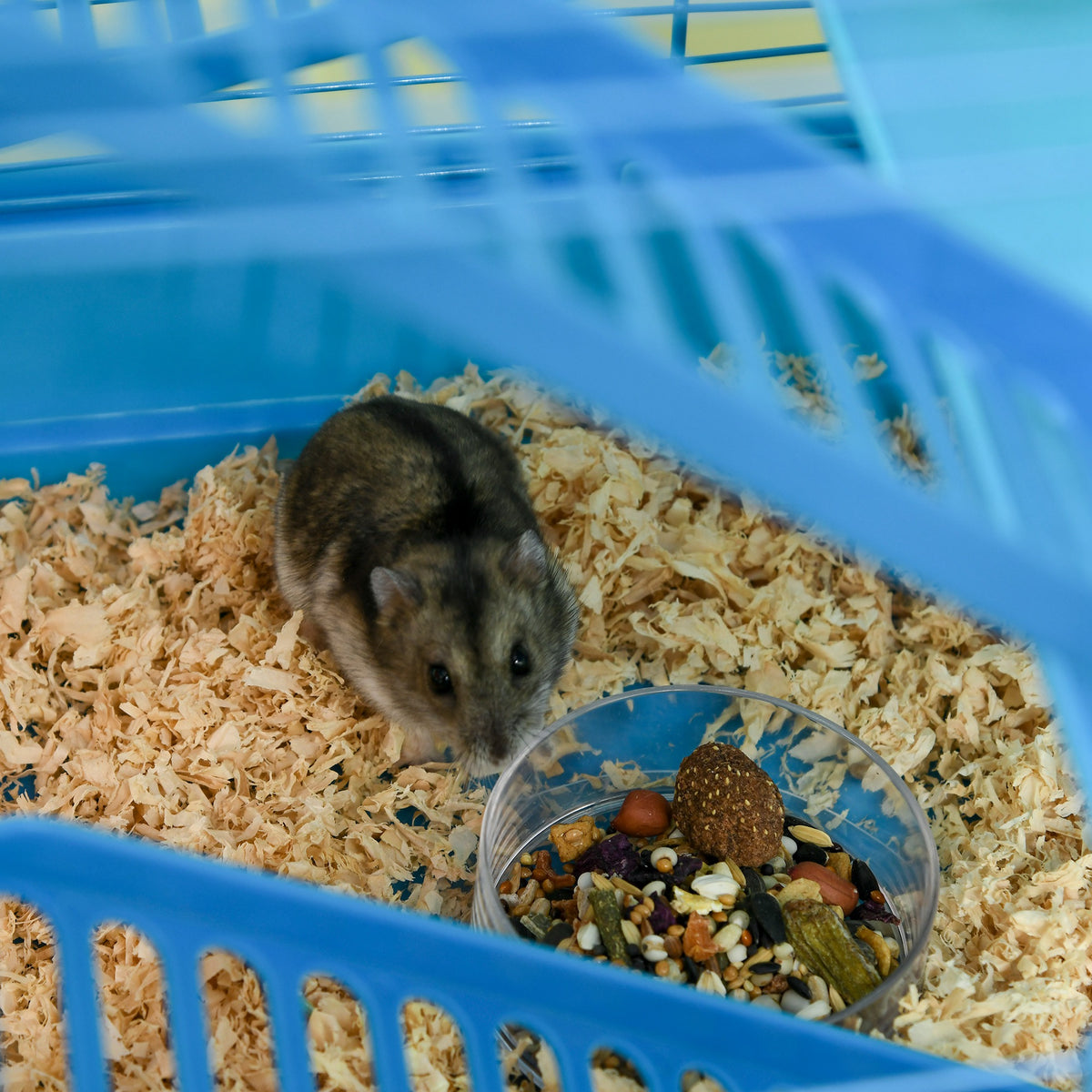 Cage pour Hamster Souris Petit Animaux Rongeur avec Tunnel Mangeoire Roue Jouet 47 x 30 x 59 cm Bleu-8