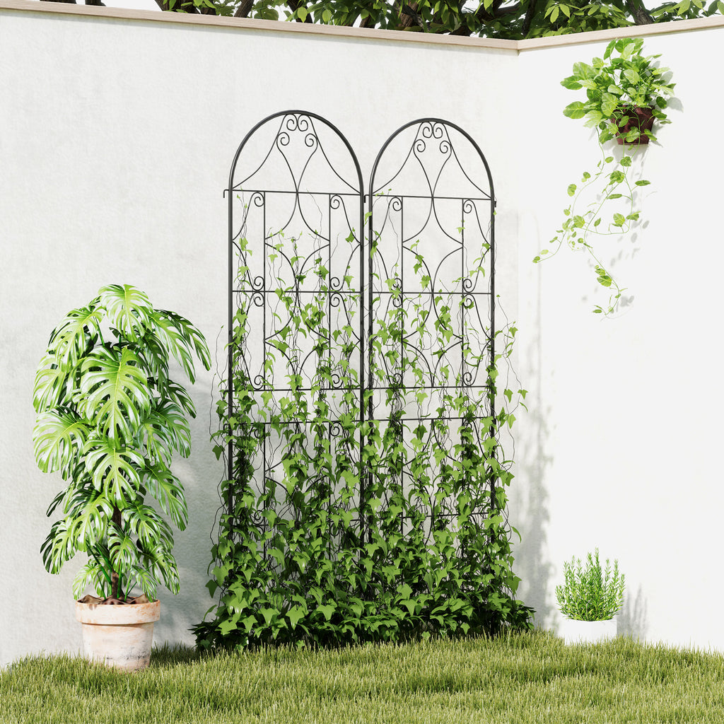 Support pour plantes grimpantes avec motif lot de 2 treillis de jardin pour vigne fleurs légumes métal 50 x 180 cm noir-9