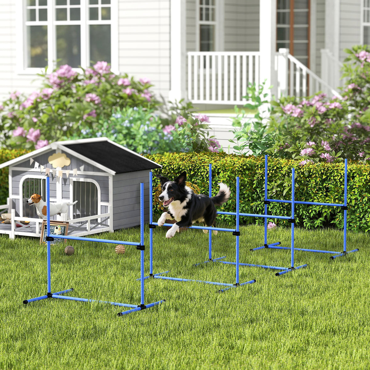 Agility sport pour chiens set de 4 obstacles professionnels avec système de maintien au sol sac transport fourni-1