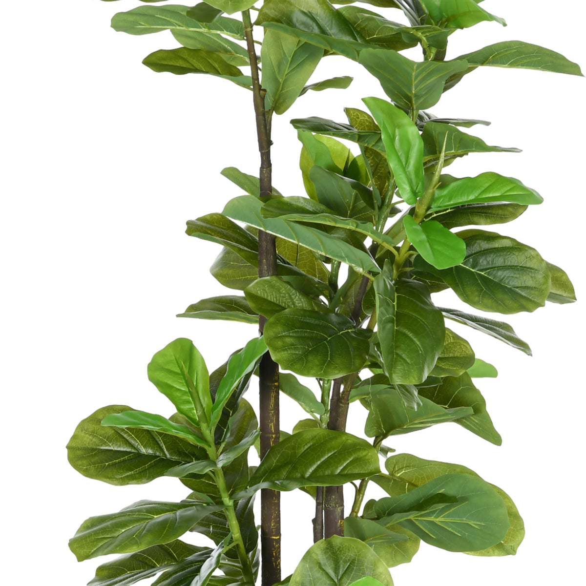 Lot de 2 plantes artificielles Figuier à feuilles de violon Ficus Lyrata hauteur 180cm avec Pot-6