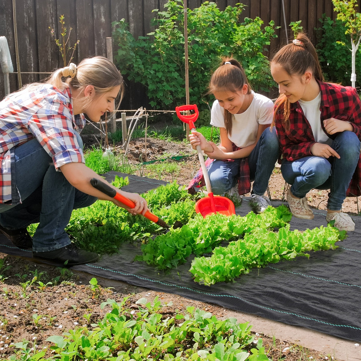 Toile de paillage géotextile de paillage contre les mauvais herbes 100 x 2 m résistant aux déchirures polypropylène noir-1