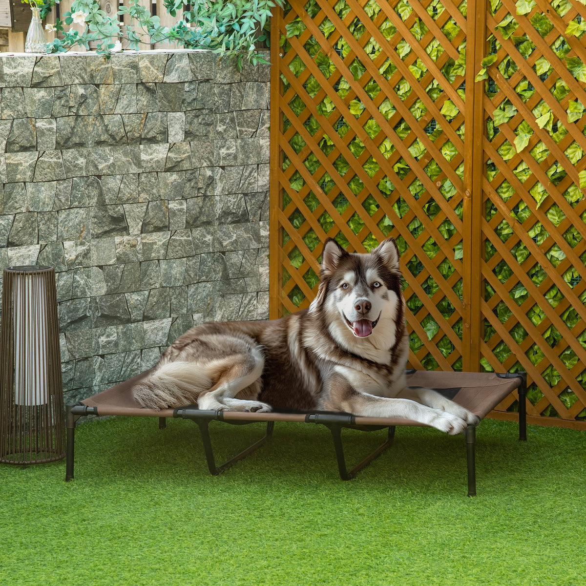 Lit sur pieds XXL pour chien chat lit de camp animal 122L x 92l x 23H cm marron clair-1