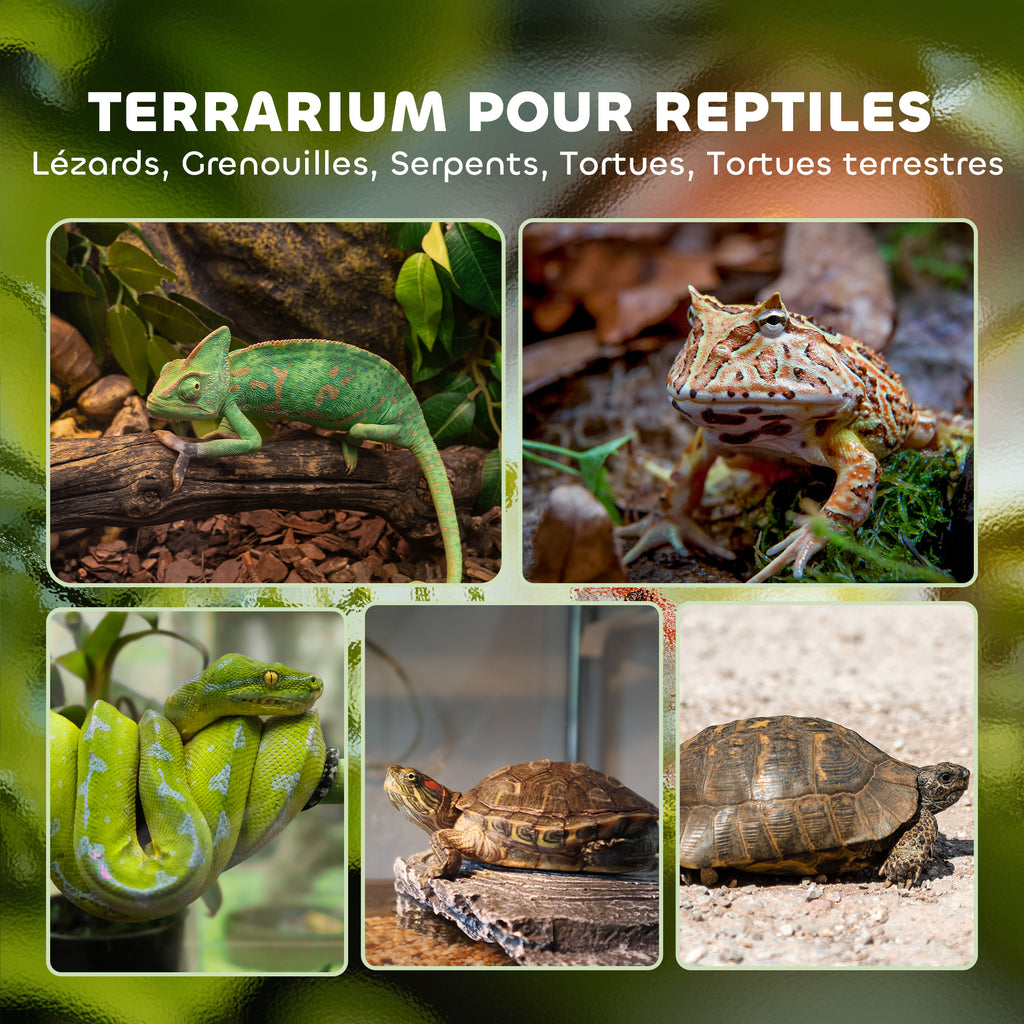 Boîte à reptiles, boîte d'élevage de reptiles, fermeture sécurisée par rotation, ventilation frontale, 50x30x35cm, noir-3