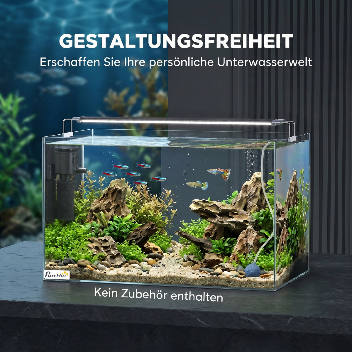 Aquarium 43L en Verre Trempé avec Tapis de Protection Pour Poissons, Crevettes, Tortues, 50 x 30 x 30 cm, Transparent-3