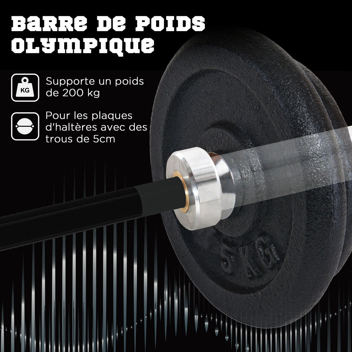 Barre d'haltères en acier 180 cm Ø50 mm avec 2 pinces Charge 200 kg Barre de musculation pour disques Ø5 cm Fitness-3