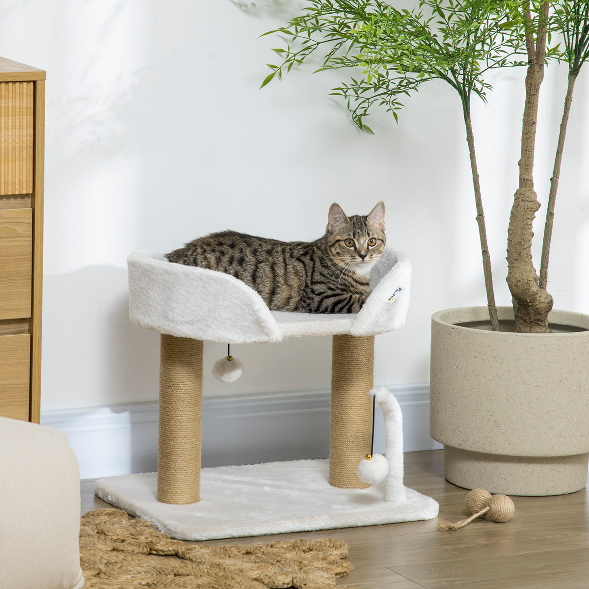 Arbre à chat grattoir design avec jeu 2 pompons suspendus 2 poteaux sisal plateforme peluche sisal 48 x 38 x 42 cm beige-1