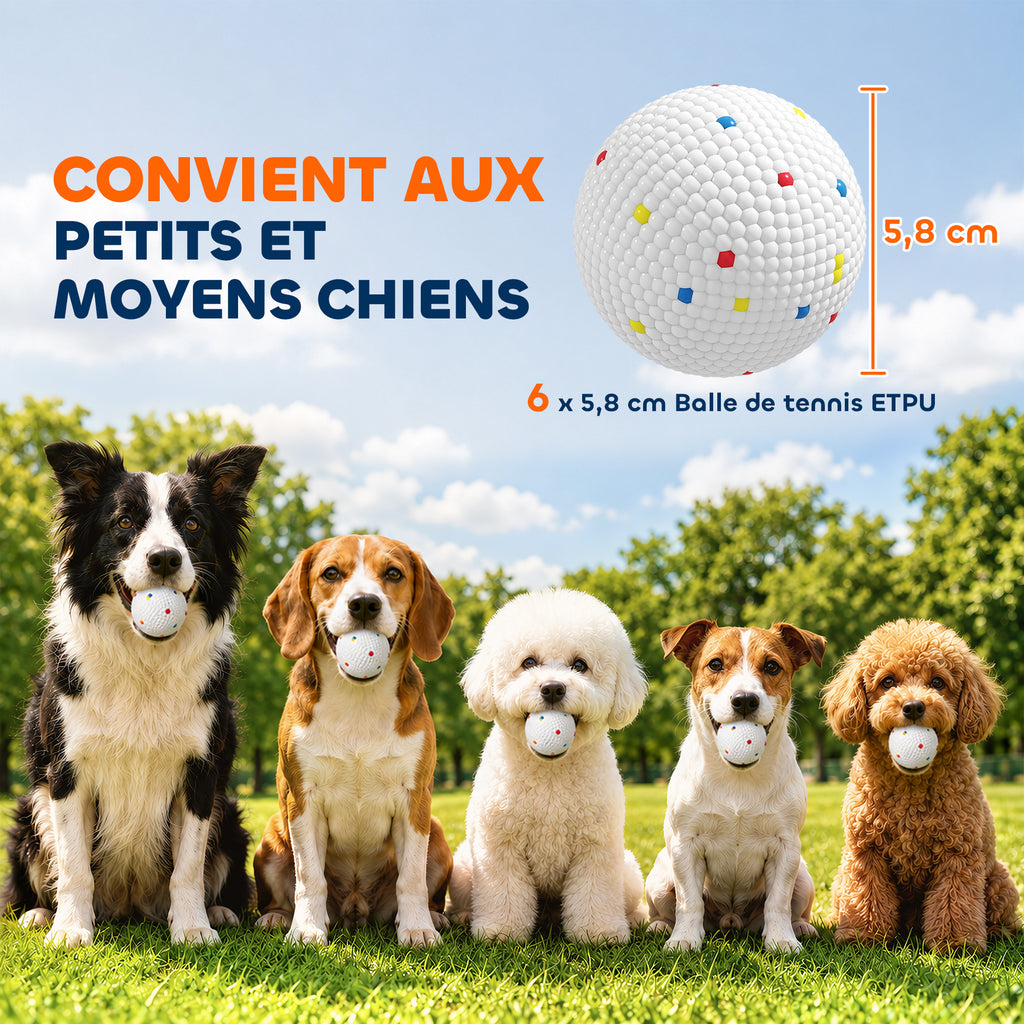 Lot de 6 Balles pour Chien en ETPU Compatibles avec Lanceur Automatique Flottantes et Rebondissantes Ø 58 mm Blanc-2