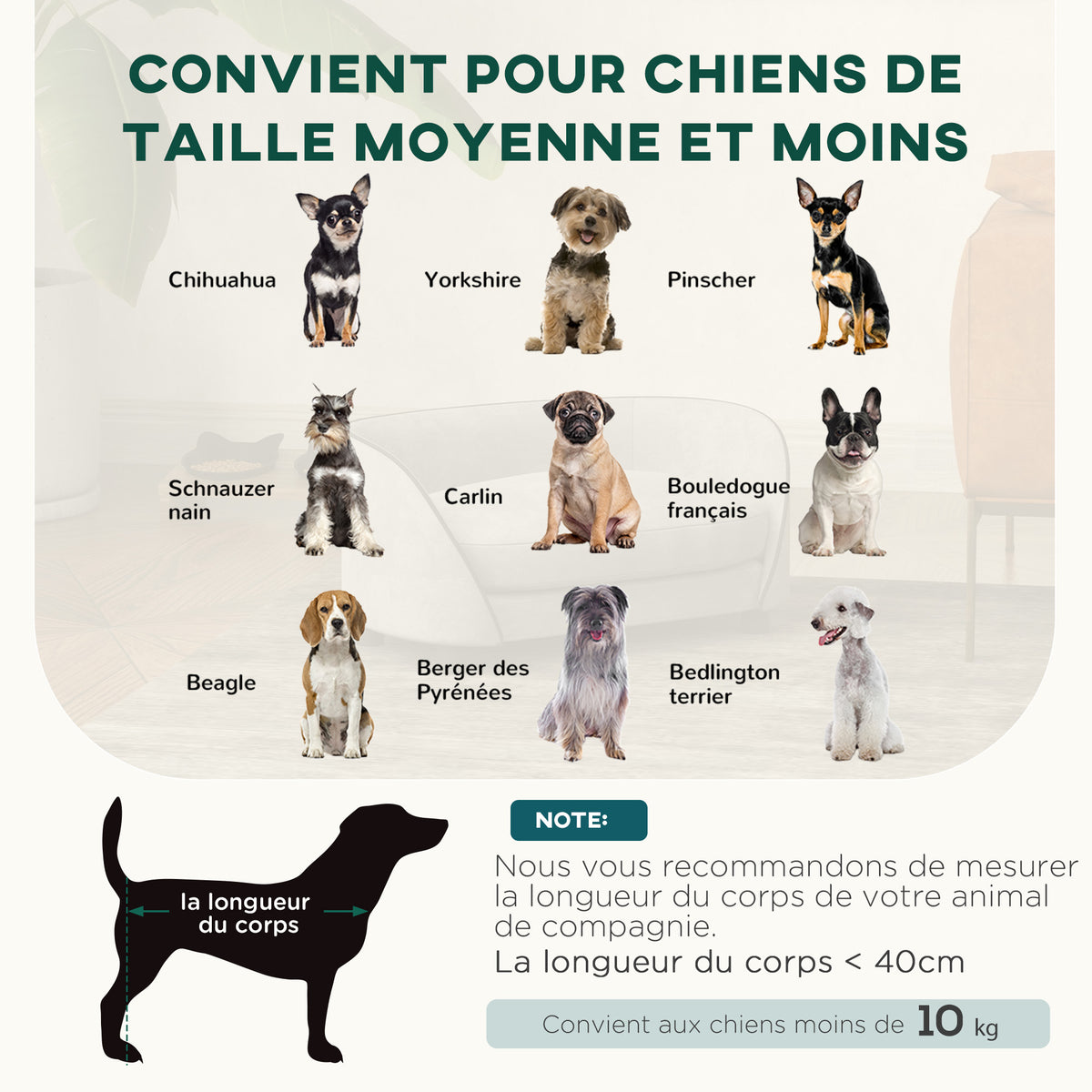 Canapé pour chien avec coussin doux housse amovible et lavable revêtement en velours néerlandais gris-3