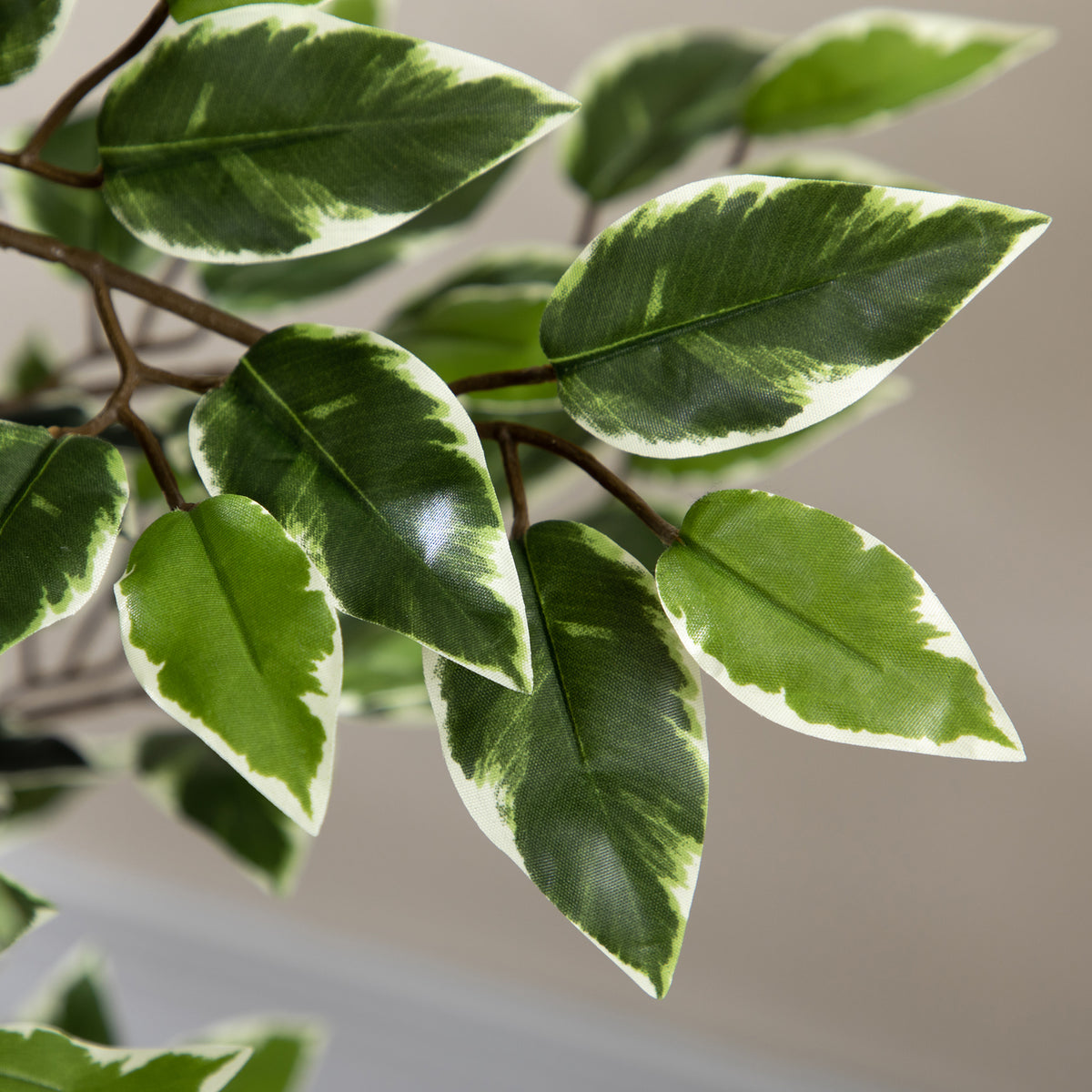 Plante artificielle ficus tronc branches liane lichen feuilles grand réalisme pot inclus hauteur 1,3 m-7