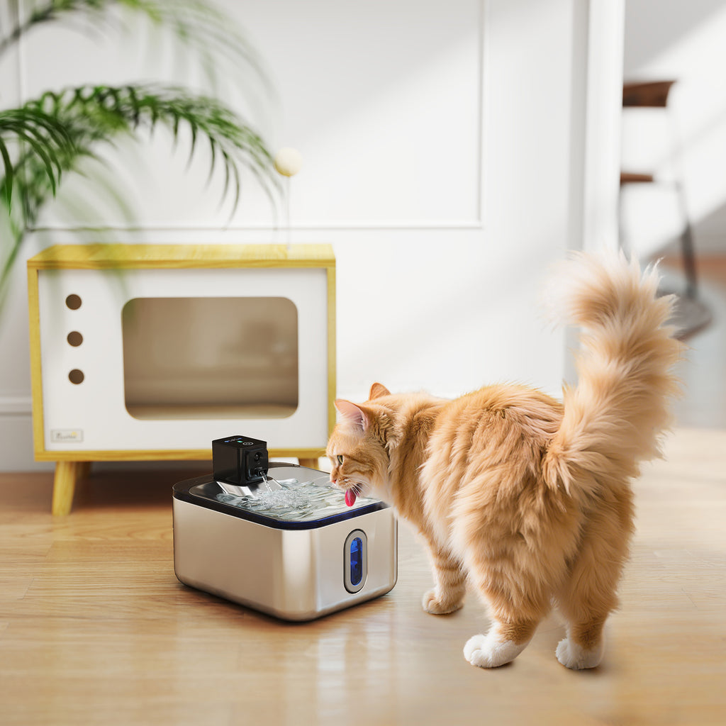 Fontaine à eau pour chat automatique en inox 5L, silencieuse, distributeur eau chat 3-étapes filtre chargeur USB, argent-9
