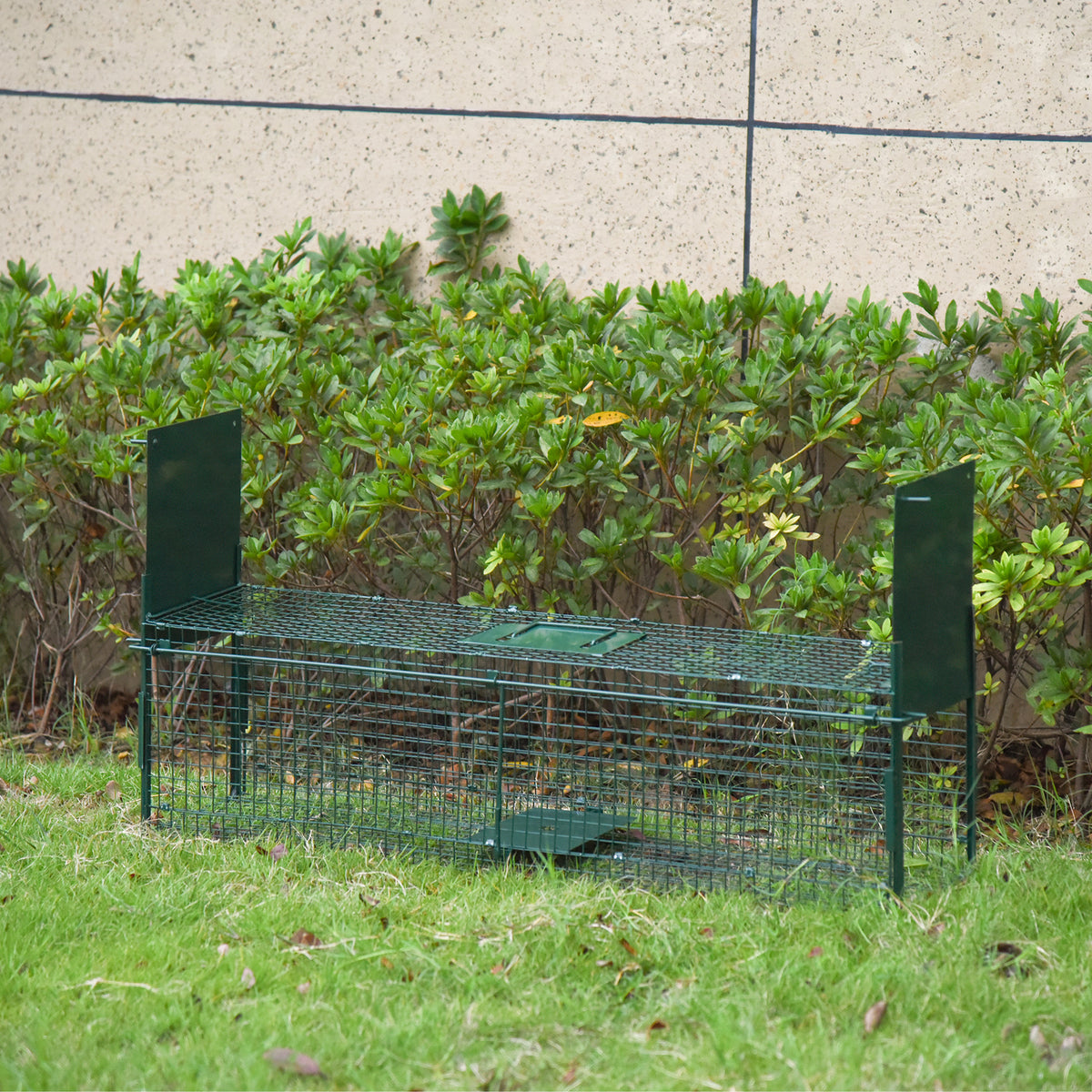 Piège Vivant Cage Attrape 100x25x28cm Piège Fouine pour Martres, Rats, Souris - 2 entrées + poignée - métal vert-1