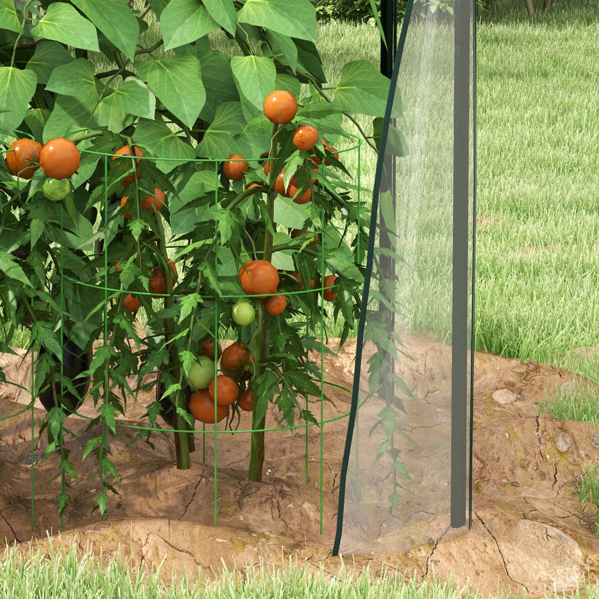 Serre de jardin, Serre à Tomate pour le jardin avec 2 portes zippées, dim. 90 x 90 x 145cm-8