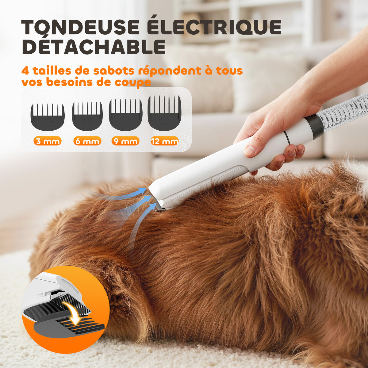 Aspirateur poil de chien et séchoir 5-en-1 kit toilettage chien professionnel 12kPa  50dB 37,6x17,5x18,5cm blanc-6