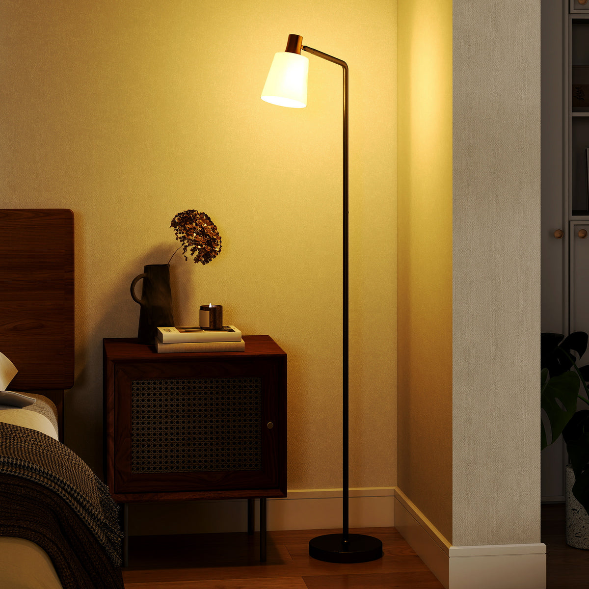 Lampadaire sur Pied Salon à Tête Rotative à 350°, Lampe sur Pied Moderne avec 3 Températures de Couleur, Noir-1