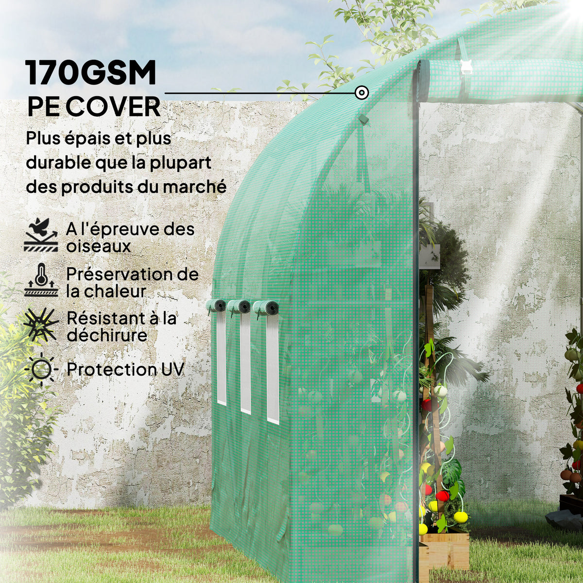 Serre tunnel de jardin 3 x 2 x 2 m avec porte enroulable et grandes fenêtres, en acier galvanisé et PE, vert-3
