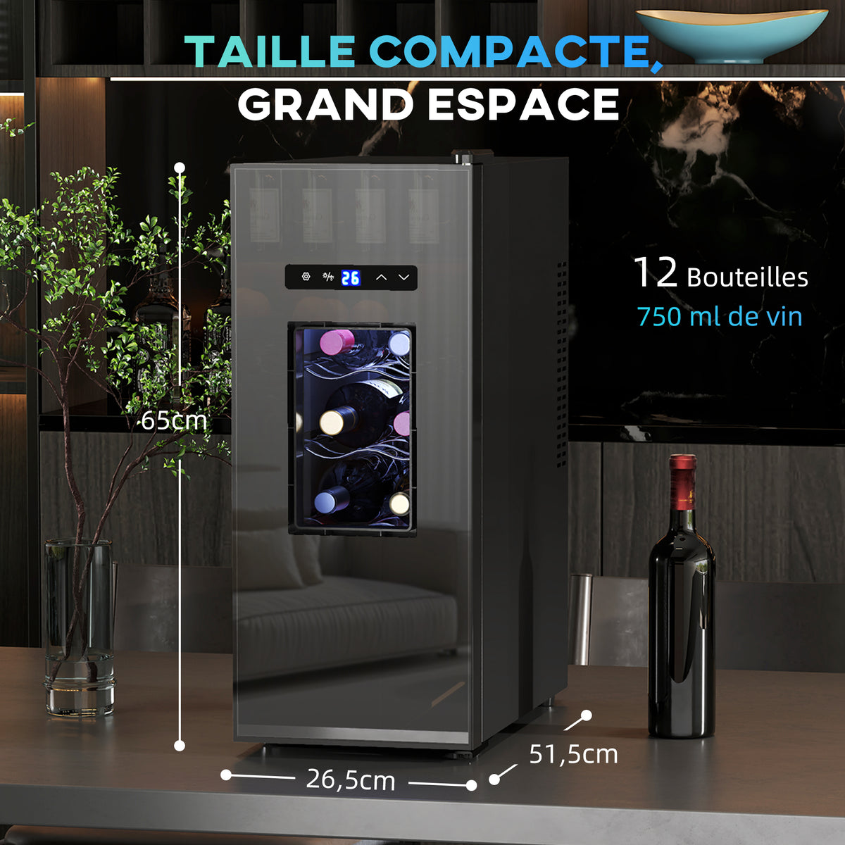 Cave à vin 12 bouteille 30L thermoélectrique double et silencieux avec porte en verre, LED, écran numérique, noir-2