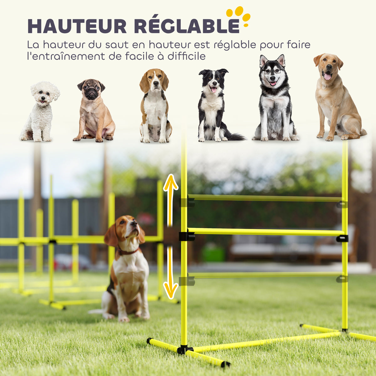 Agility sport pour chiens set de 4 obstacles professionnels avec système de maintien au sol sac transport fourni-3