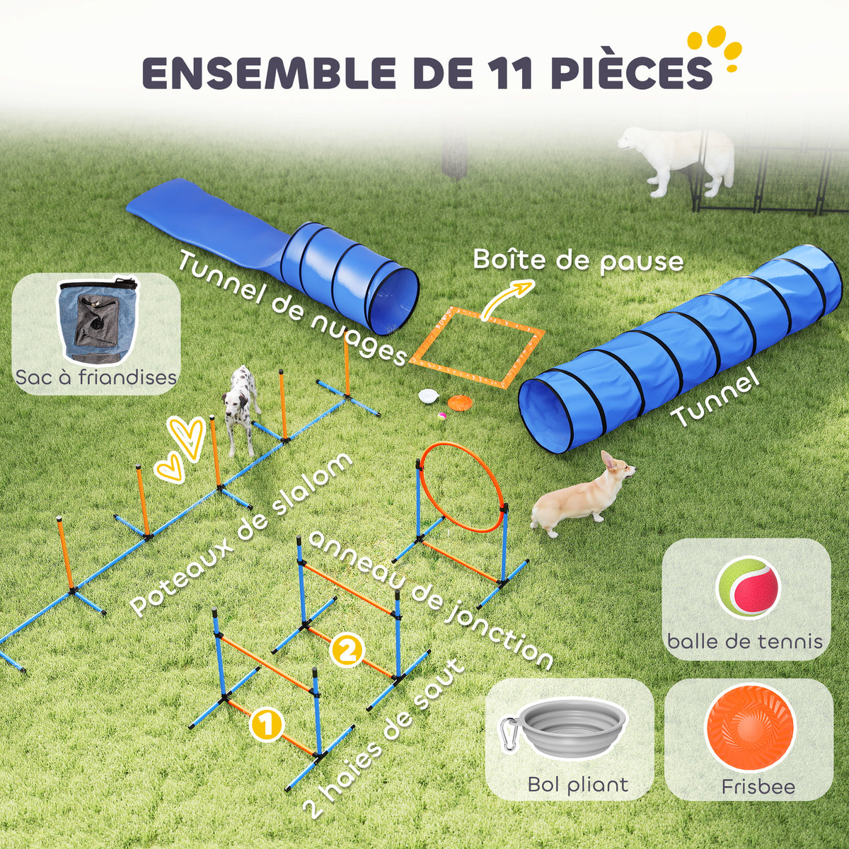 Ensemble d'Agilité pour Chien 11 Pièces, Parcours d'Obstacle avec 2 Tunnels, Sauts Ajustables, Orange et Bleu-3