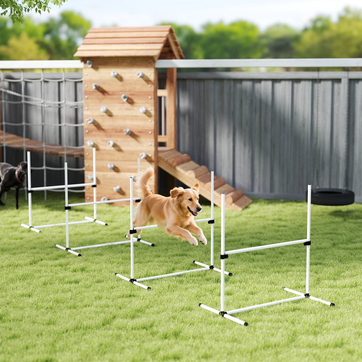 Agility pour Chiens, Kit Agility Chien Parcours, Set de 4 Obstacles Professionnels Hauteur Réglable, Système de Maintien au Sol, Sac de Transport, Jeux Intéressants, Entraînement, Blanc-9